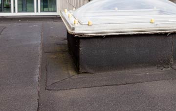 disadvantages of Tyrella flat roofs