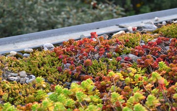 the cost of Tyrella green roof installation