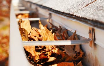 Tyrella gutter cleaning companies