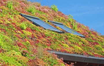 Tyrella living roof systems