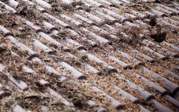 Tyrella roof cleaning companies