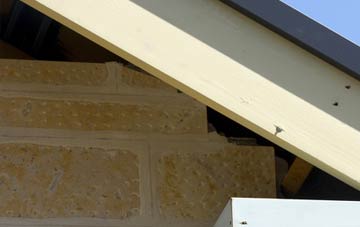 soffit repair Tyrella