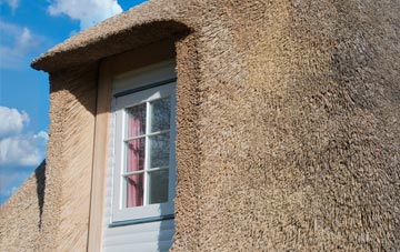Tyrella thatch roof disadvantages