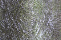 Tyrella fibreglass roof work